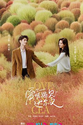 鄞州附近网站优化运营